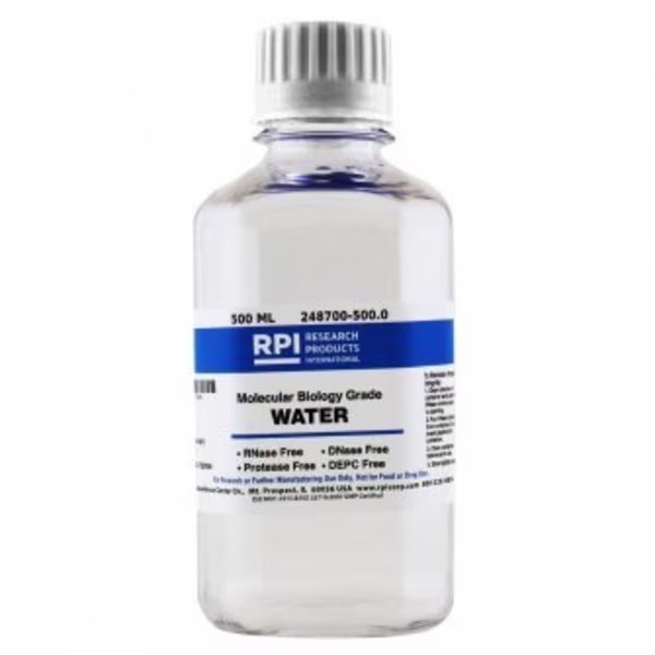 Water, Molecular Biology Grade, DNase and RNase Free, 500 ml, Rpi, Mfr#: 248700-500.0